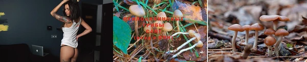 МДПВ Киреевск